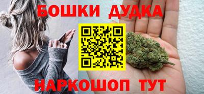 МДПВ Будённовск