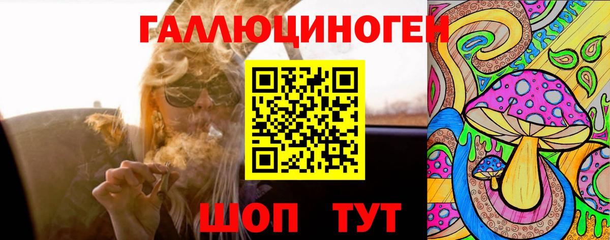 Галлюциногенные грибы Psilocybine cubensis  Вход с VPN  Тверь 